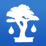 Shinrin-yoku - Forest Bathing App Support