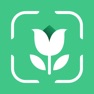 Get Plant Identifier & AI Care for iOS, iPhone, iPad Aso Report