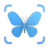 Insect Bug Identifier AI icon