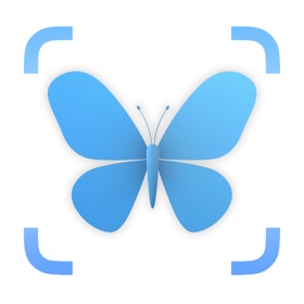 Insect Bug Identifier AI
