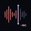 AudiSum: Record & AI Summarize problems & troubleshooting and solutions