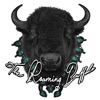 The Roaming Buffalo icon