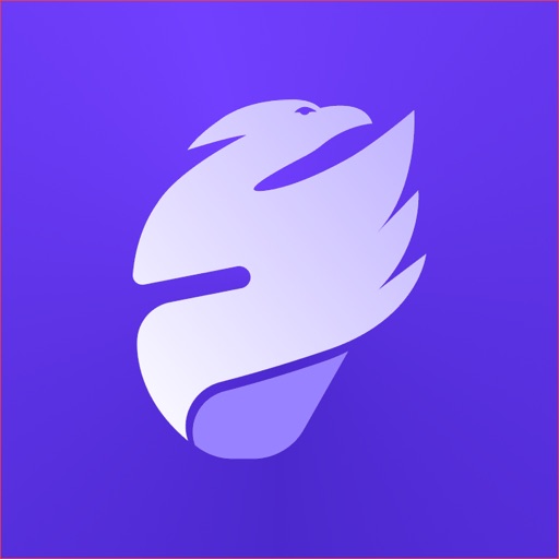 FalconPay - Send,Receive & Pay