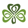 Dublin Irish Festival icon