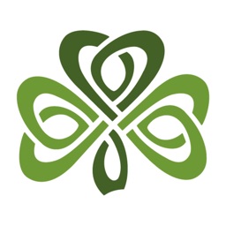 Dublin Irish Festival