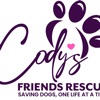 Codys Friends Rescue icon