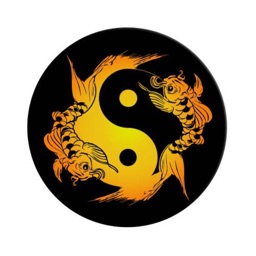 Assistant Acupuncture