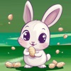 Find Peanut Complex Game icon