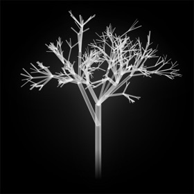 Screenshots (3) unnamed tree ∞/∞