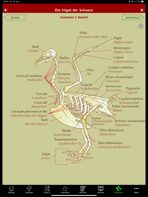 The Birds of Switzerland iPad screenshot