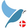 Bluebird: Learn Danish icon