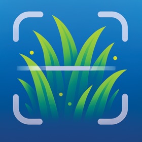 Grass Identifier - AI Scanner