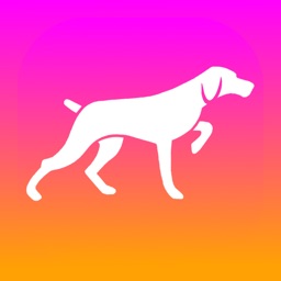 Tracken: Finances Personnelles