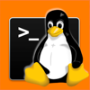 XLinux OS terminal - SSA
