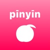 Pinyin Extension icon