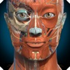 Anatomy Learning - 3D Anatomy icon