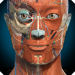 Anatomy Learning - 3D анатомия на пк