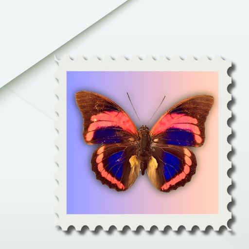 Dear: Letters to Future Me