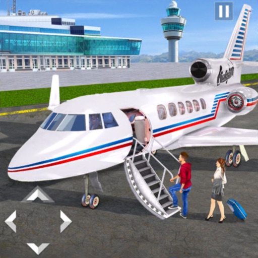 Airplane Pilot Flight