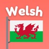 Learn Welsh Phrases & Words icon