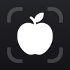 CalOn AI - Calorie Tracker icon