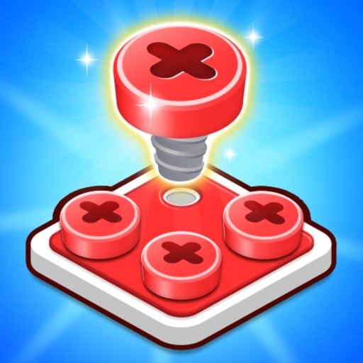 Tire Screw Puzzle Nuts & Bolts