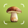 Mushroom ID: Fungus Identifier - AIBY