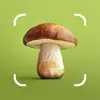 Mushroom ID - Fungi Identifier App Feedback
