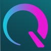 netQ systems icon