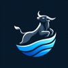 Bullflow - Live Options Flow icon