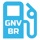 GNV Brasil
