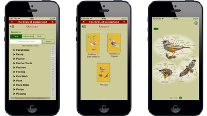 The Birds of Switzerland Screenshot