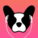 LillyPlayer Video Player