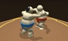 Sumo Wrestling Challenge