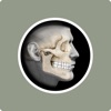 AROMS - Advancing OMS icon