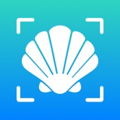 Sea Shell Identifier - AI ID