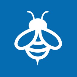 Barrow Buzz