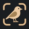 Bird Identifier: BirdSnap icon