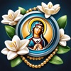 Meu Terço Diário icon