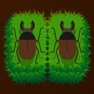 Get Beetle Identifier: Kabuto Hunt for iOS, iPhone, iPad Aso Report