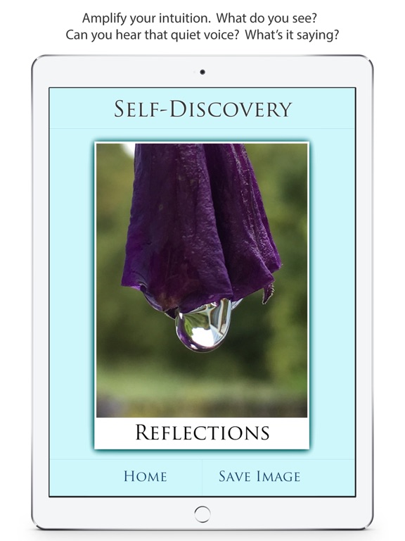 Screenshot #5 pour Self-Discovery