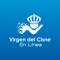 Virgen del cisne en línea, es un aplicativo que le permite acceder a todos los productos y servicios que le ofrece la cooperativa desde su Smartphone