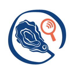 Conch'Connect