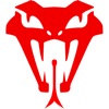 Texas Pride icon