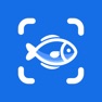 Get Fish Identifier - Fishby for iOS, iPhone, iPad Aso Report