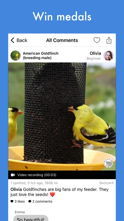 Smart Bird ID screenshot-3