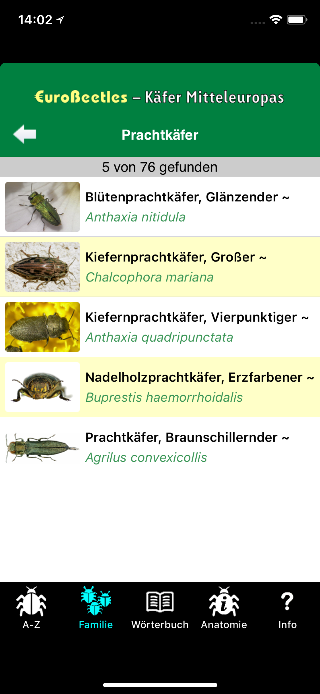 EuroBeetles screenshot 4