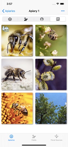 ApiFields iPhone screenshot