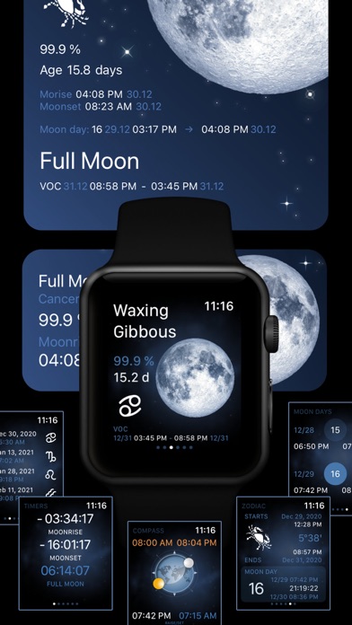 Deluxe Moon Pro • App & Widget Screenshot