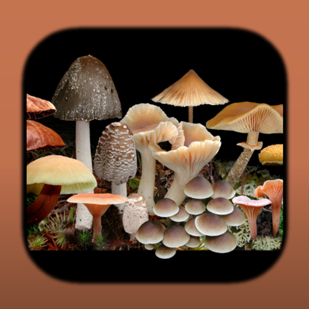 Get FunKey: Agarics of Australia for iOS, iPhone, iPad Aso Report
